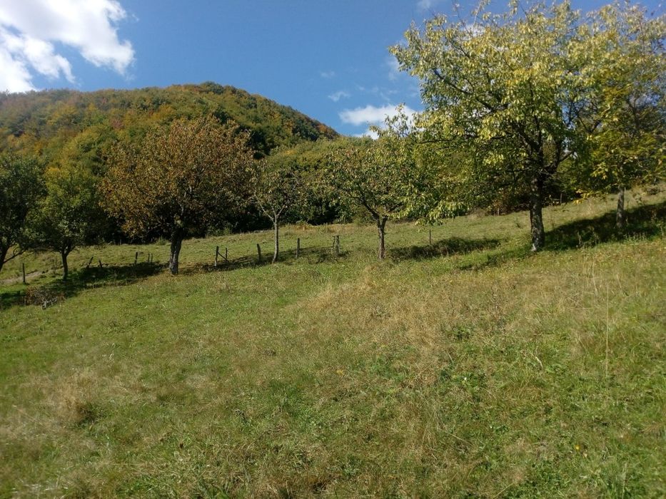 Teren de vânzare cu casă în Apuseni