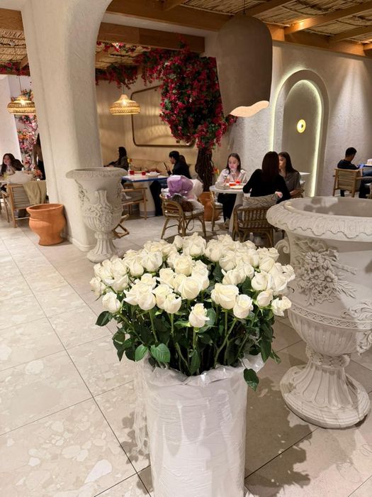 Продам цветок роза