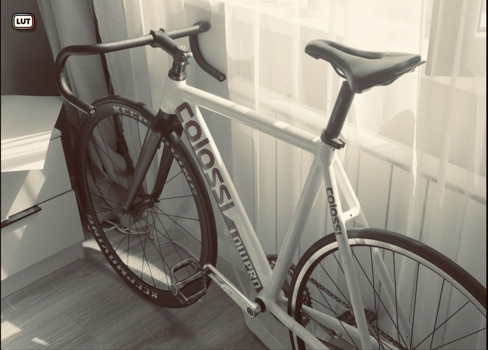 Colossi low  pro