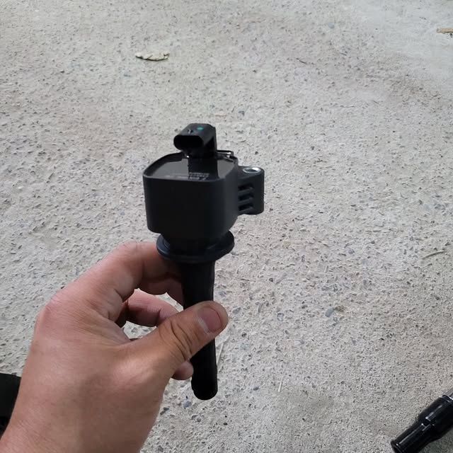 Babina Kaptiva  Guanjo Gm