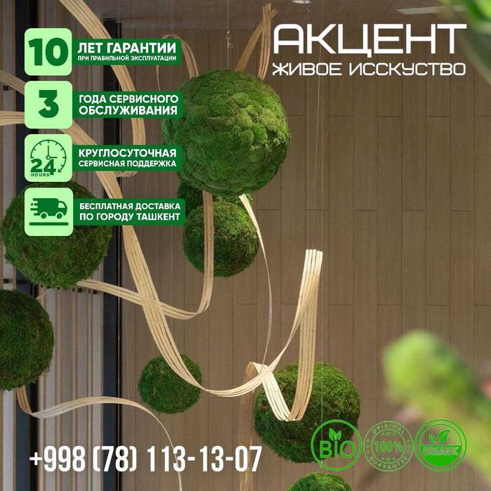 "Акцент" фитокартины