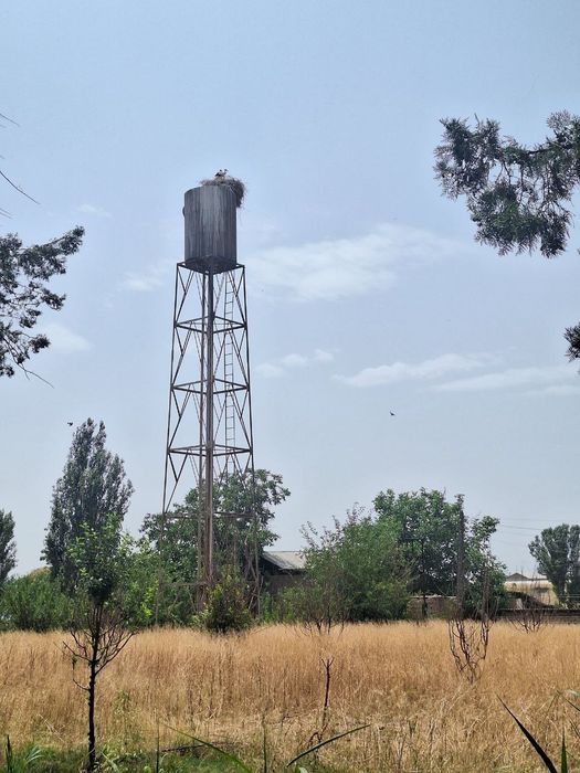 Klinika sotiladi 240.9 sotix umumiy maydon