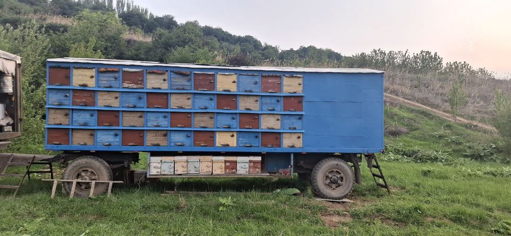 Прицеп для перевозки Пчел(асалари)