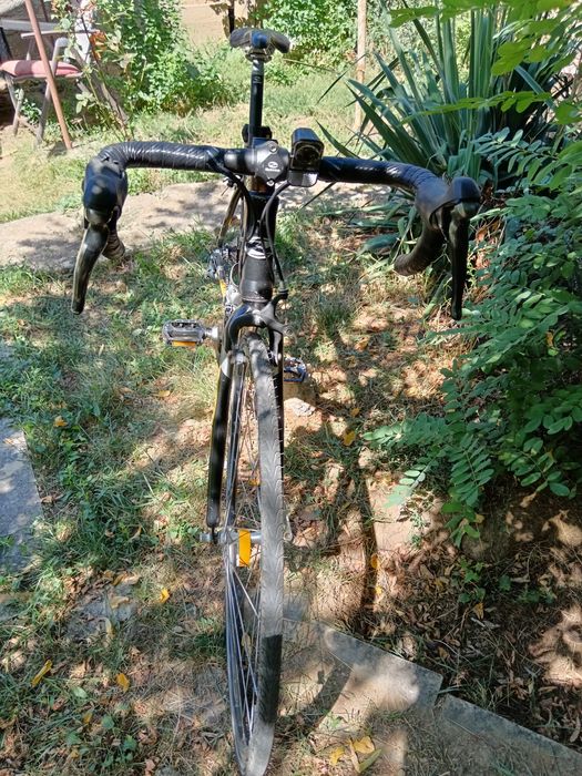 Cursiera Coga miyata cadru de otel