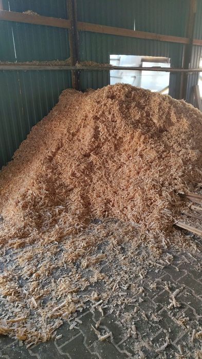 Vindem rumeguș 25 ron/sac