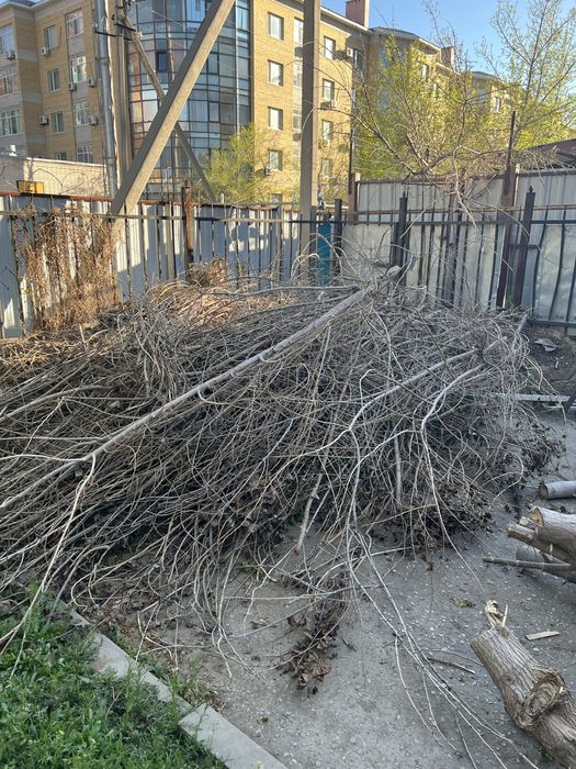 Бесплатно отдам на дрова самовывоз