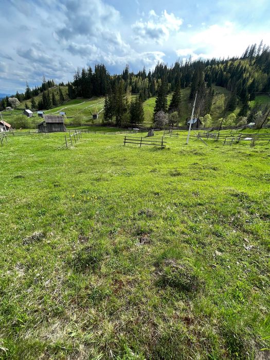 Vând teren în Sadova-Bucovina (3300mp)