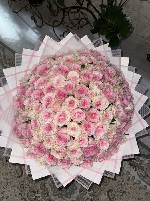 кустовые    розы