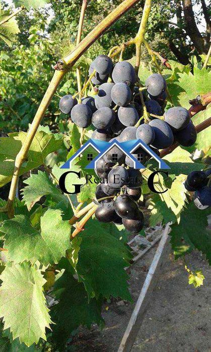 Продава се Къща в Варна, м-т Планова - 131 кв.м за 1222 €/кв.м - Снимка #2