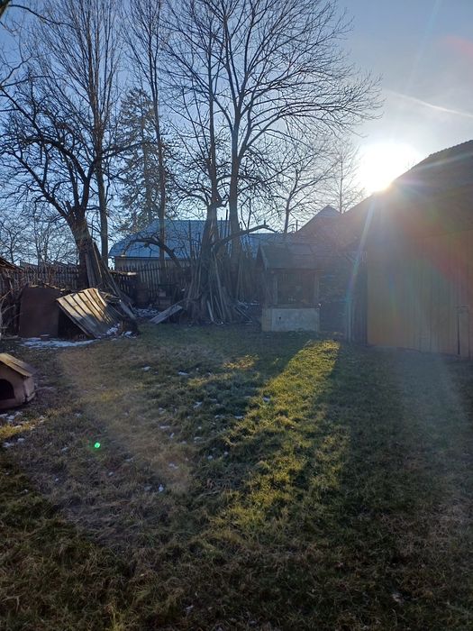 Proprietate 7400 mp, Mazanaesti(Suceava),casă renovata partial