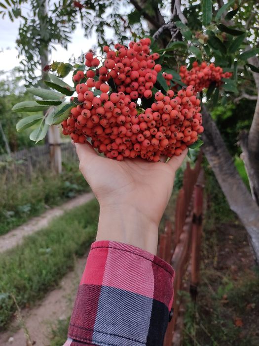 Продам Дачу за Куленовкой