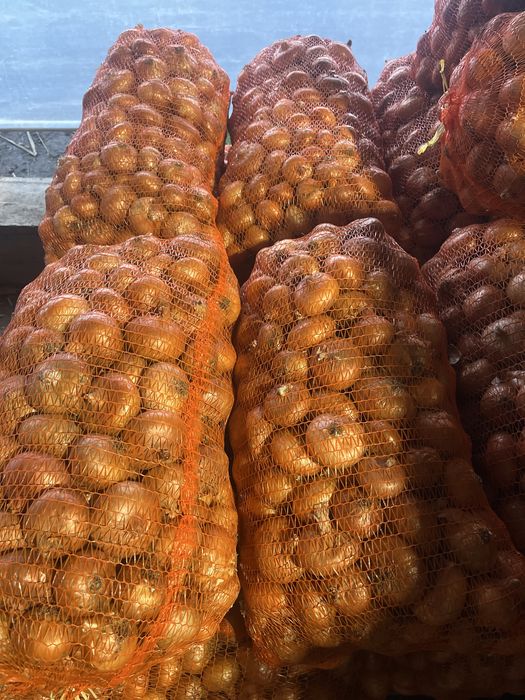 Vand Arpagic calibru 14-17