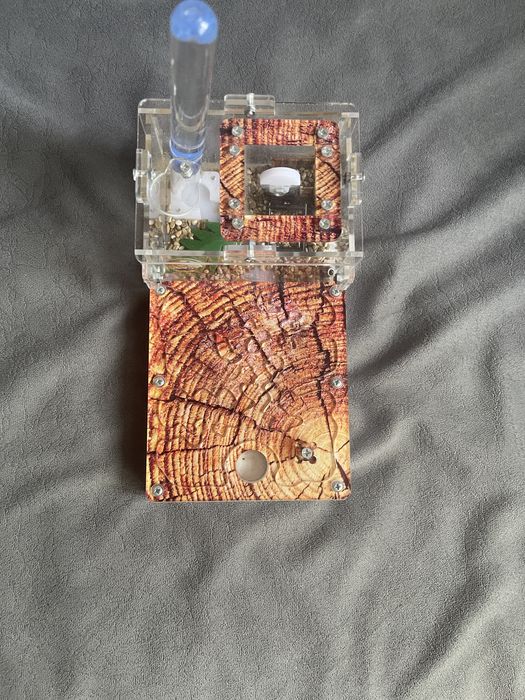 Муравьиная ферма