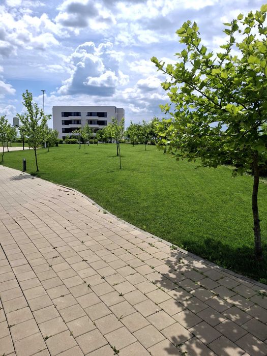 Intretineri spatii verzi