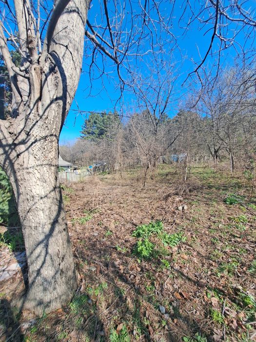 Vand in Bucium casa batraneasca intabulata dar  nefolosibila si 640 mp teren