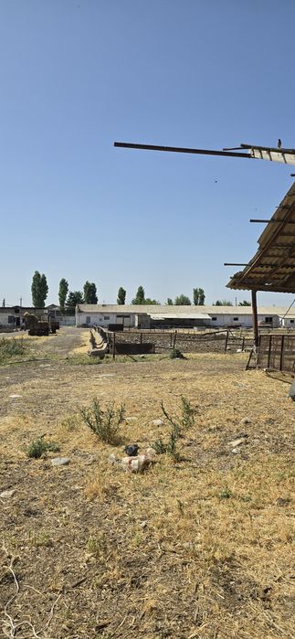 Кибрай 4.гек,биноси билан