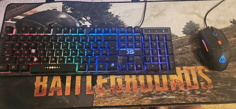 Комп игровой. Бари ойынды котереди