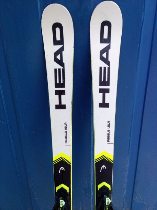 Schiuri head world cup rebels