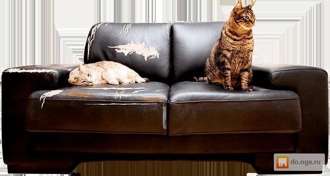 Перетяжка мебели