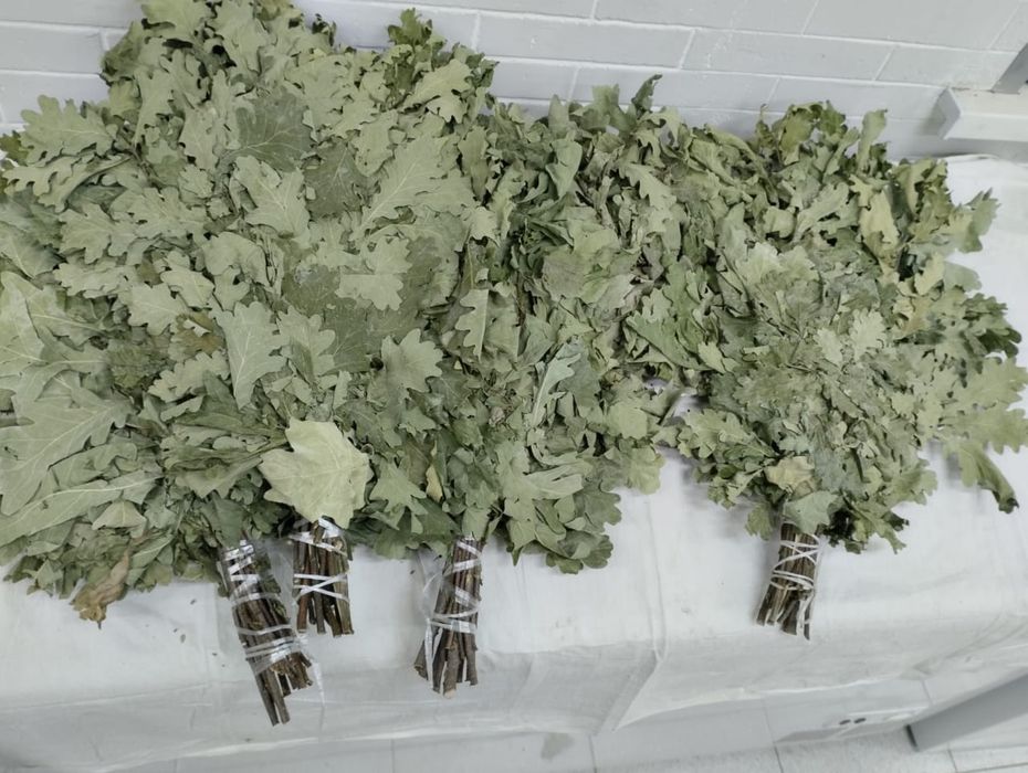 Дубовые веники .