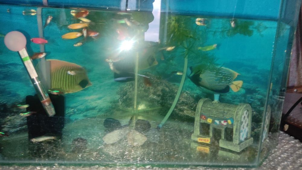 Продам аквариум с рыбками