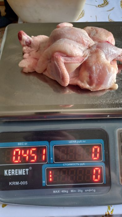 Мясо домашней перепёлки
