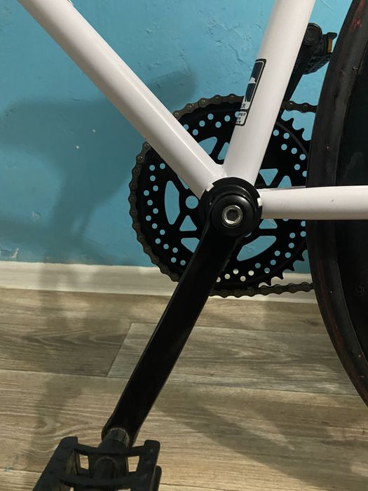 Singlespeed Axion Ghost