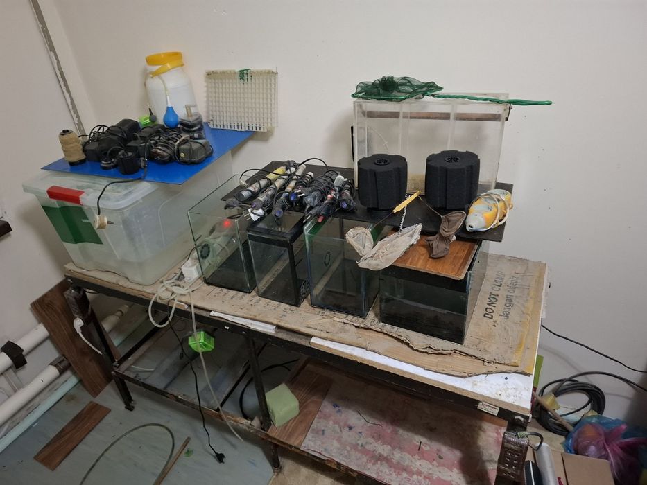 Аквариумлар Сотилади