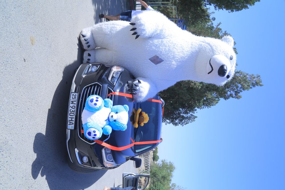 Ayiqlar xizmati barcha viloyat boylab