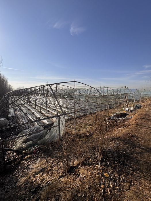 Issiqxona tayyor biznes sotiladi