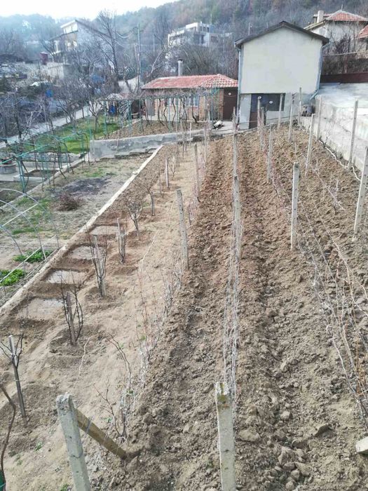 Продава се Къща в Варна, Спортна зала - 220 кв.м за 1591 €/кв.м - Снимка #10