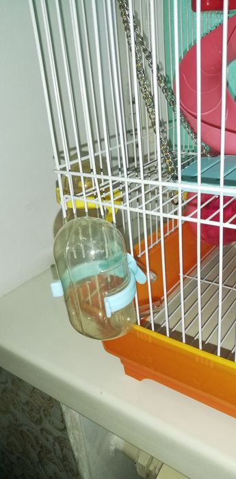 Клетка для хомячка