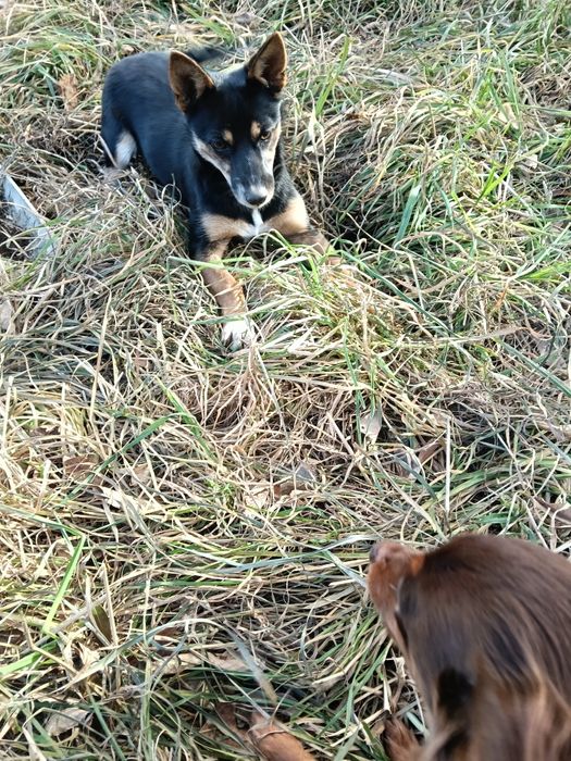 Малышка ищет любящую семью