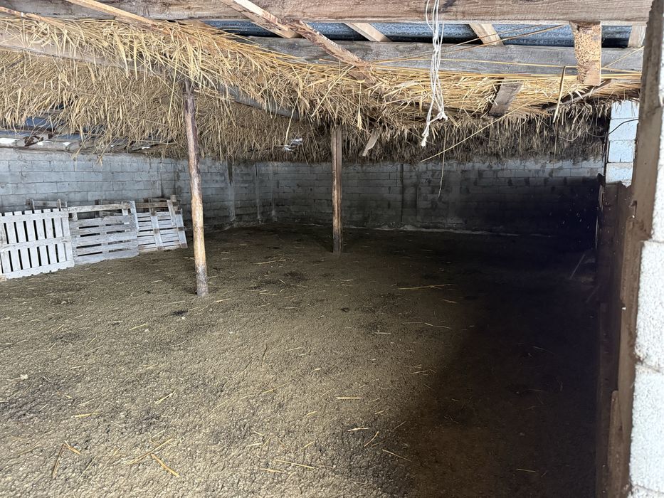 Продам ферму (фазенду)