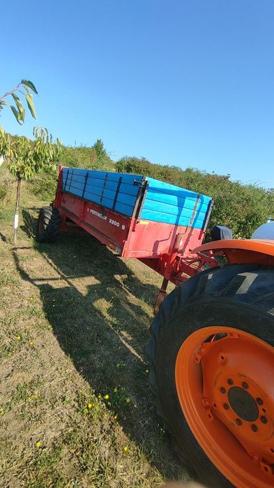 Mig pottinger pt zona de munte