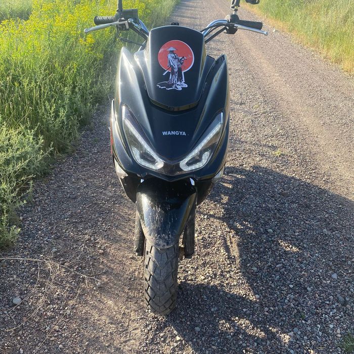 Макси WANGIA матор