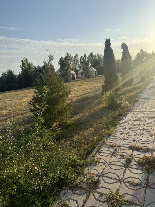 Продается фазенда