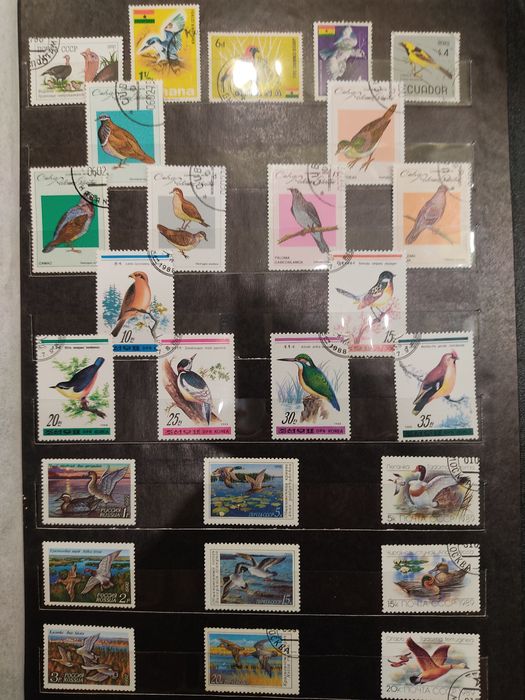 Почтовые марки. Альбом "Птицы".