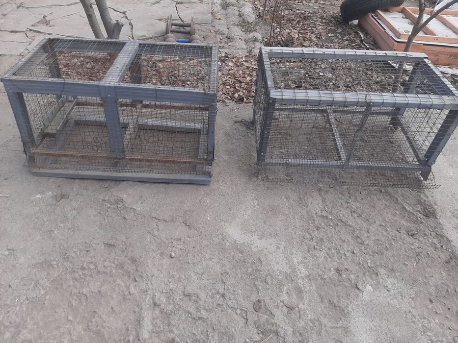 Брудер для перепелок