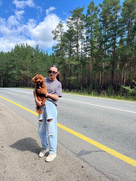 Вязка Той Пудель