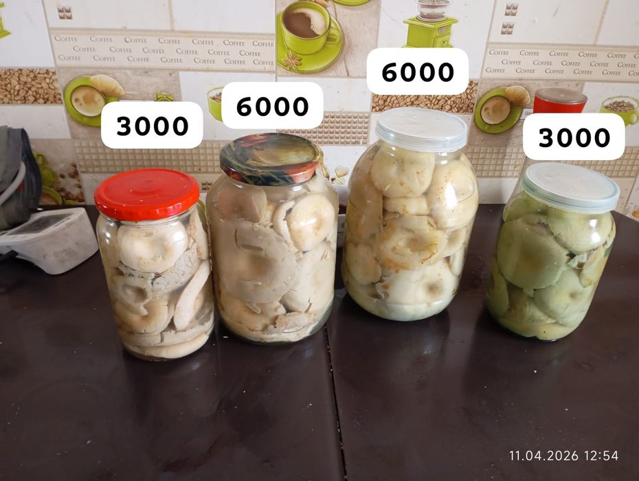 Грибы солёные 2025