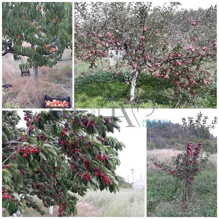 Къща с 4500кв. двор в с. Припек