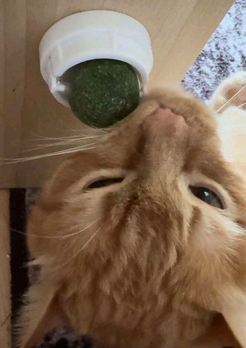 Catnip ball 360° Котешка близалка