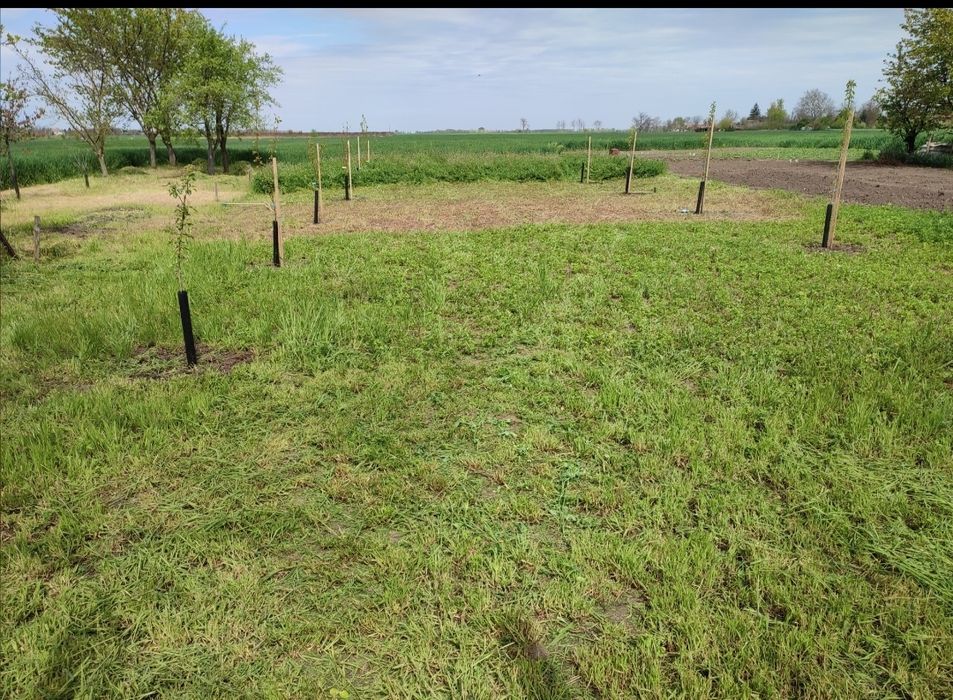 Vând teren în Ungaria la Dombegyhaz