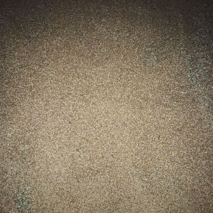 Пшеница  пшеница.