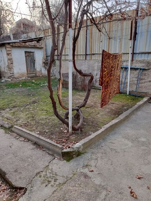 Аренда дом 3сот 2 ком Ттз