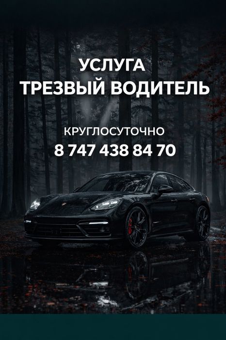 Трезвый водитель