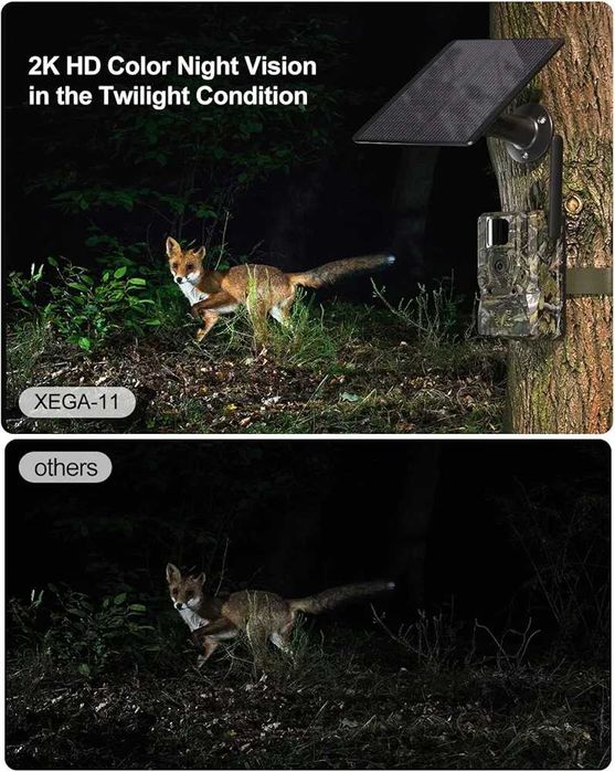 Автономен 4G Фотокапан за хранилки и ловни стопанства