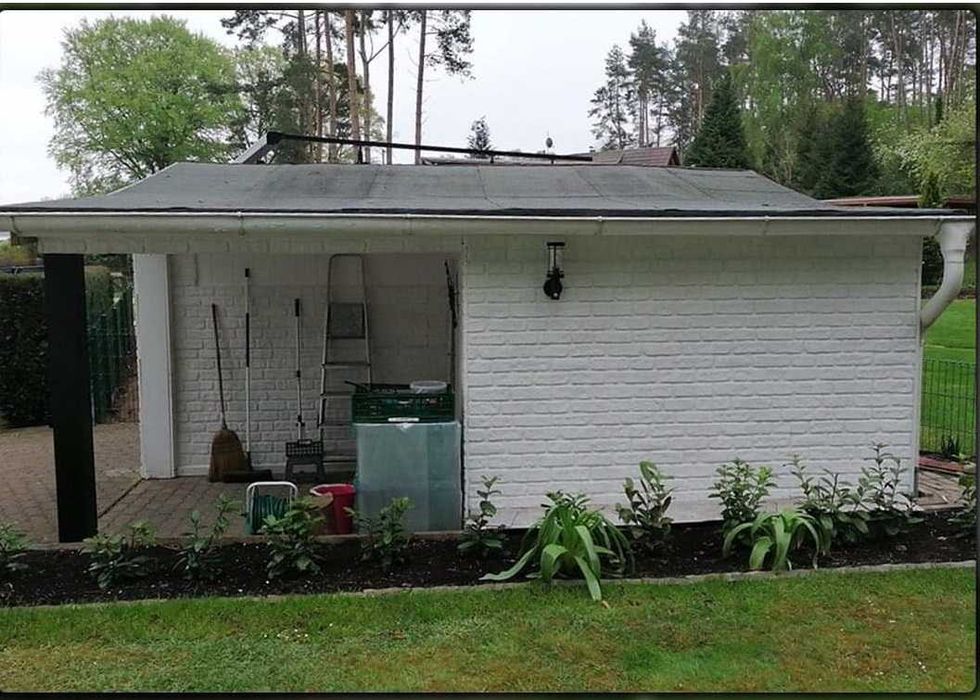 3D Декоративен Стенен Панел  Ликя