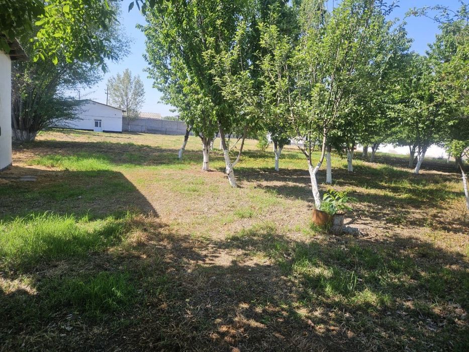 СРОЧНО! Сурум  50 сотих ер сотилади 13 500 $